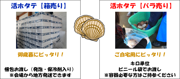hotatematuri5.png