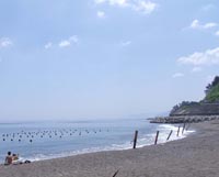 海水浴シーズン到来