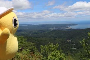 野田村とは