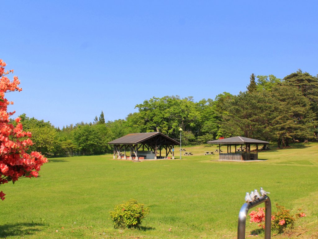 玉川野営場