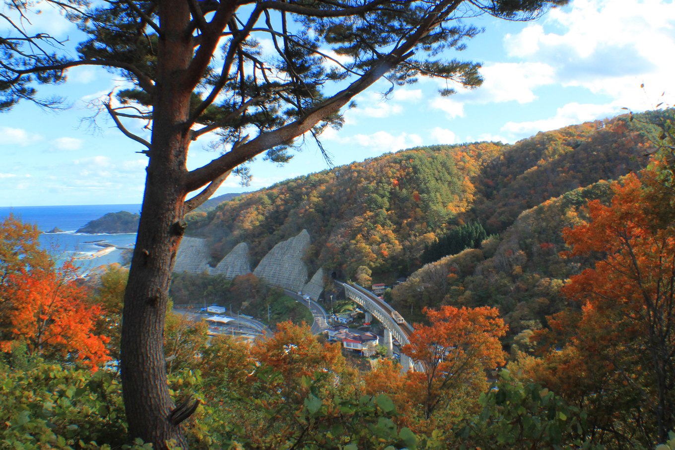 秋の山をかける三陸鉄道（岩手県野田村）