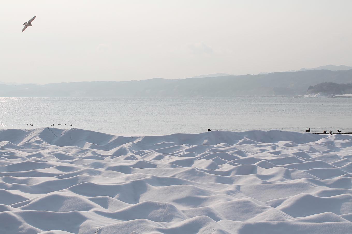 浜の雪景色（岩手県野田村）