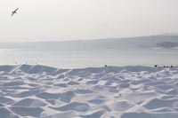 浜の雪景色（野田村）