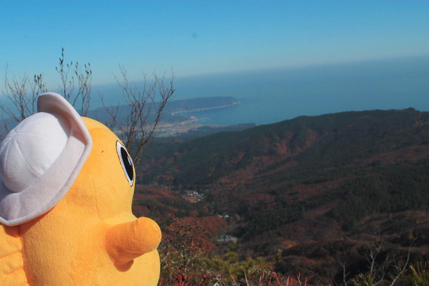 和佐羅比山からパノラマ紅葉をのんちゃんと見る（岩手県野田村）