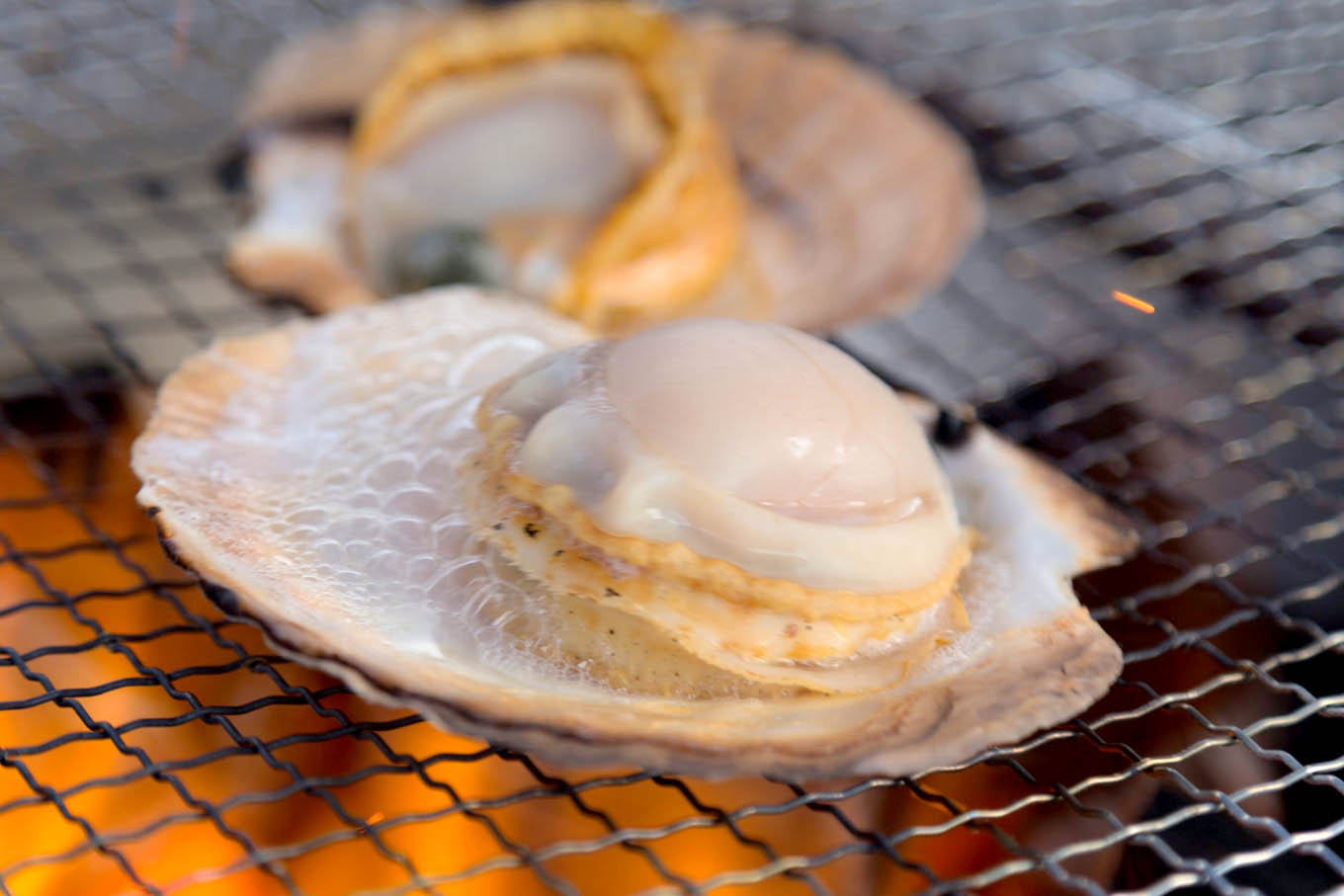 炭火焼きホタテ（岩手県野田村）