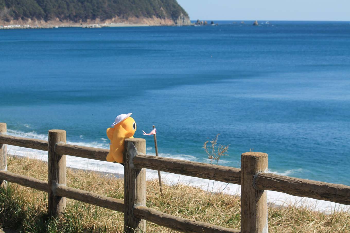 コバルトブルーの海（岩手県野田村）