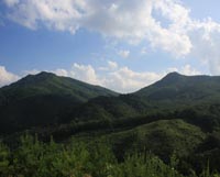 夏の和佐羅比山（野田村）