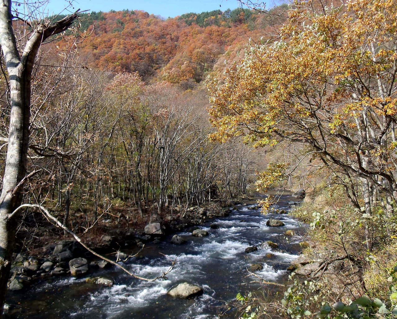 晩秋の安家川（岩手県野田村）