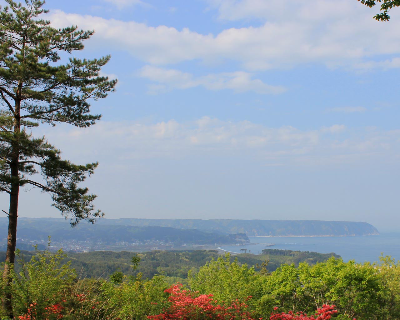 野田村　和野平より（岩手県野田村）