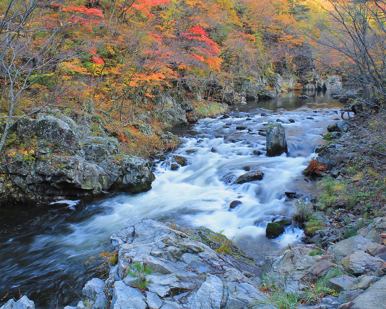 秋の安家渓谷（岩手県野田村）